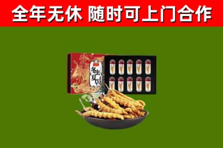 两当回收冬虫夏草价格