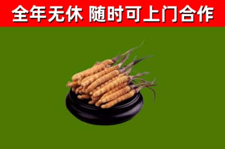 两当烟酒回收冬虫夏草.jpg
